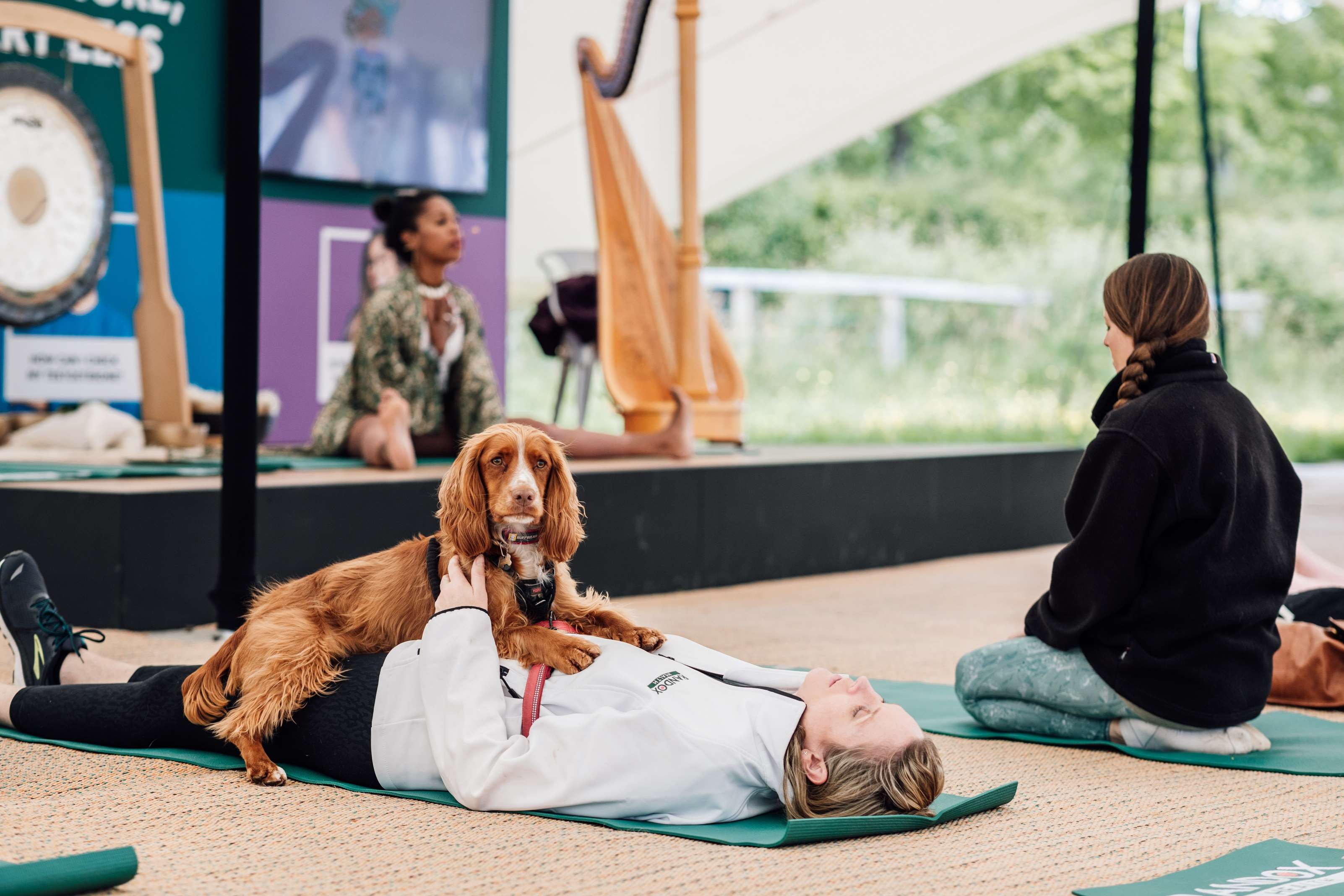 Goodwood Tickets for Goodwoof 2024 now on sale