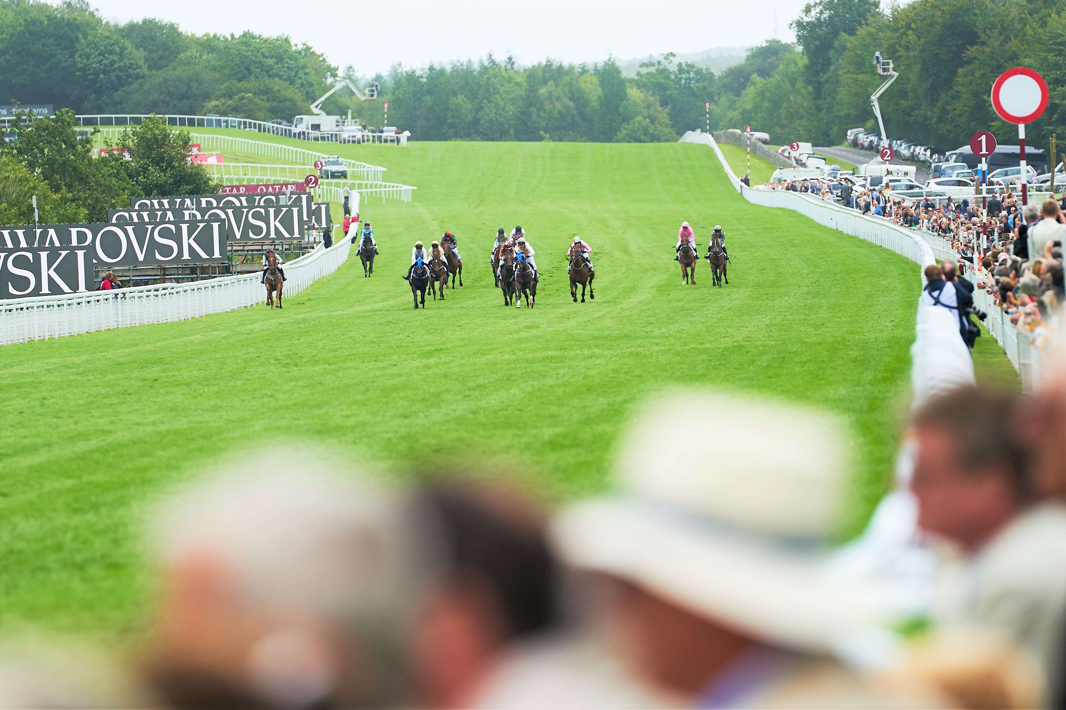 Goodwood Magnolia Cup to feature starstudded lineup