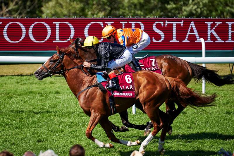 Goodwood Entries Revealed For Feature Races At The Qatar Goodwood Festival