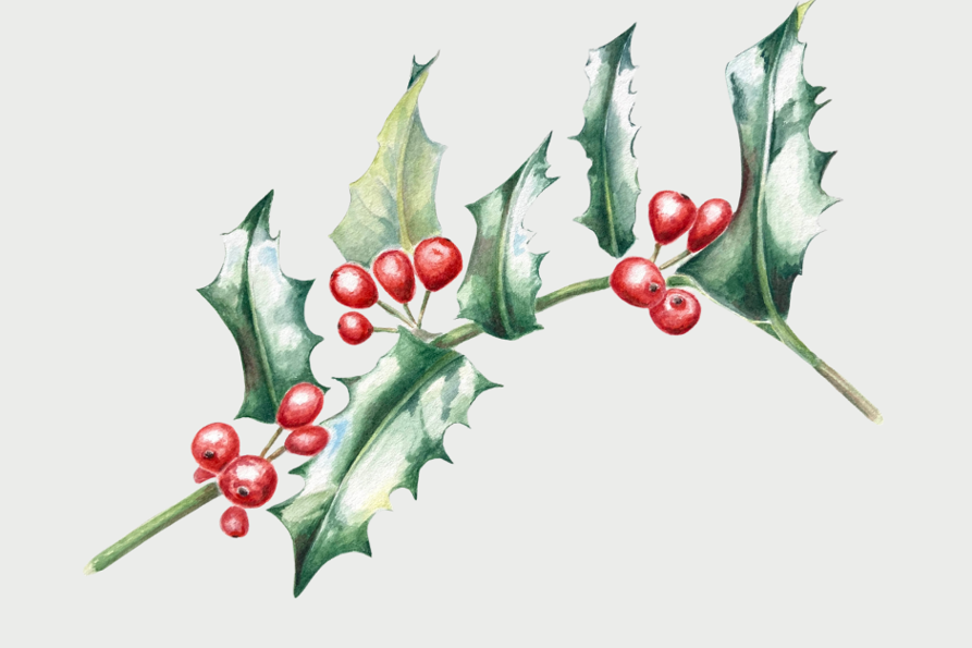 Holly.png