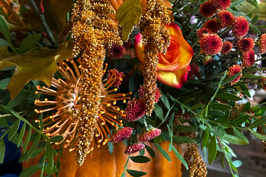 pumpkin flower 2026.png