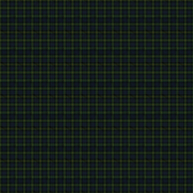 Official Gordon Tartan - Large.jpg
