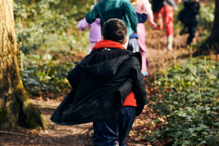 Forest Adventures 1.png