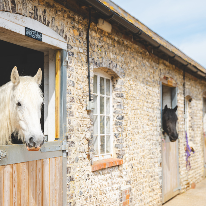 KJR- Goodwood Horse & Groom- 08.04.25-9.jpg