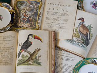 Sevre & books Clive Boursnell.jpg