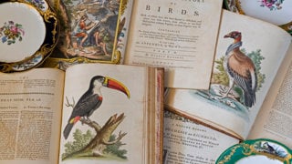 Sevre & books Clive Boursnell.jpg