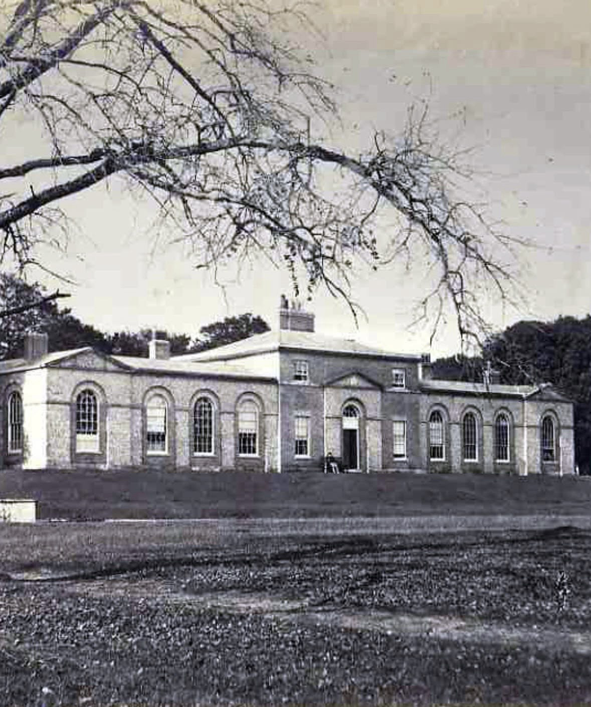 kennels-original.jpg