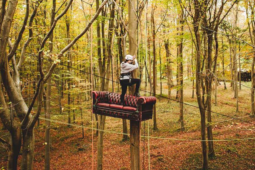 tree-climbing-sofa.jpg