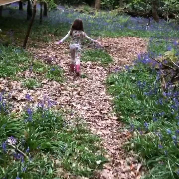 woodlands are a natural playground for children